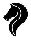 Stein Scop Logo